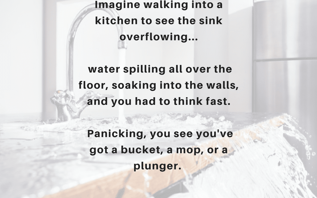 Imagine+walking+into+a+kitchen+to+see+the+sink+overflowing,+water+spilling+all+over+the+floor,+soaking+into+the+walls,+and+you+had+to+think+fast.+Panicking,+you+see+you've+got+a+bucket,+a+mop+or+a+plunger.+What+do+yo